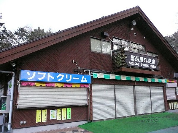 P1130226.jpg