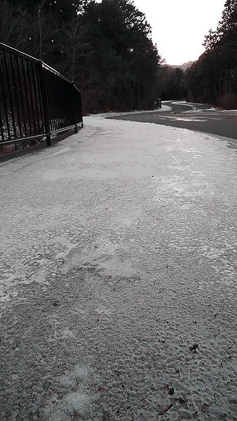 P1130222.jpg