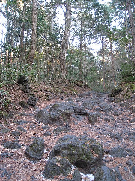 IMG_0070.jpg