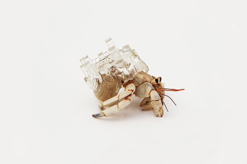 aki-inomata-hermit-crab-shells-designboom-11