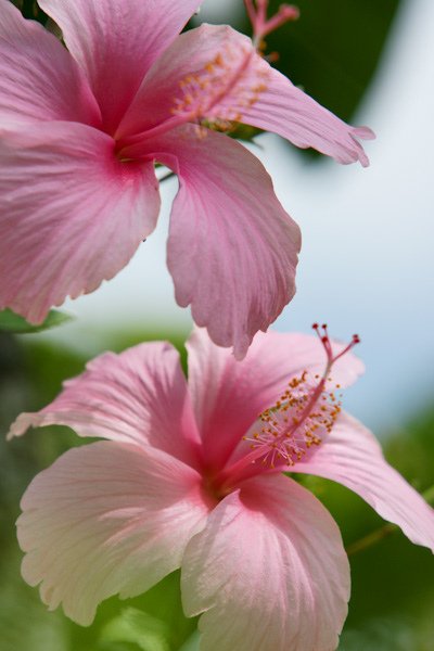 w_20090620_140536.jpg
