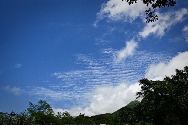 w_20090802_113742.jpg