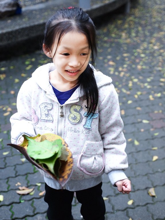 妹妹拿落葉