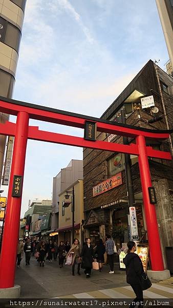IMG_7952.JPG