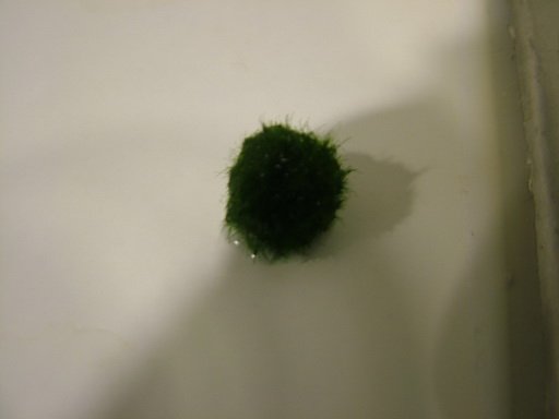DSCF3769.jpg