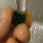 DSCF3772.jpg