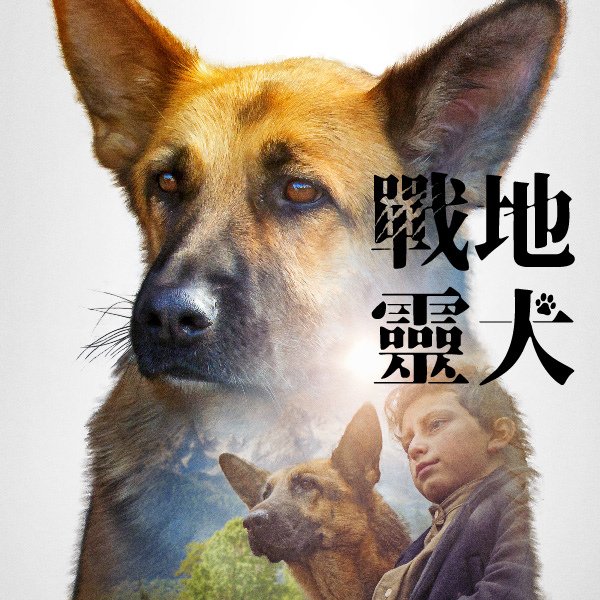 戰地靈犬_600x600_工作區域 1.jpg