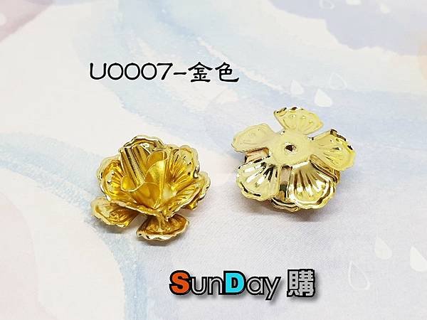 U0007-金色.jpg