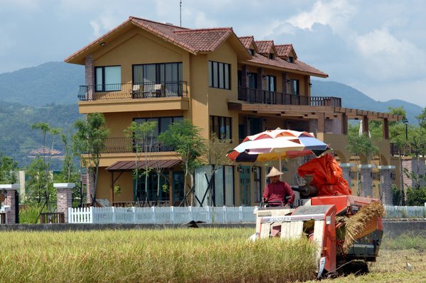 【宜蘭民宿】Sunday Home 民宿 -- 金黃色的蘭陽平原