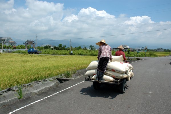 【宜蘭民宿】Sunday Home 民宿 -- 金黃色的蘭陽平原