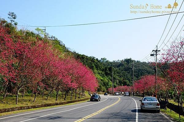 【宜蘭旅遊景點推薦】2014 三星搖搖洛克馬 【宜蘭民宿】Sunday Home