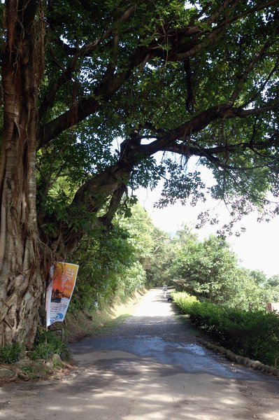 【宜蘭旅遊景店推薦】草嶺古道芒草季 【宜蘭民宿】Sunday Home