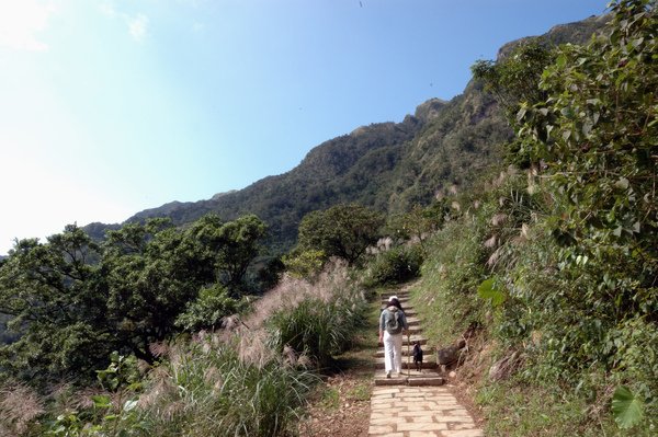 【宜蘭旅遊景店推薦】草嶺古道芒草季 【宜蘭民宿】Sunday Home