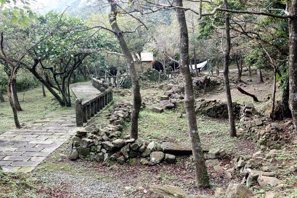 【宜蘭旅遊景店推薦】草嶺古道芒草季 【宜蘭民宿】Sunday Home