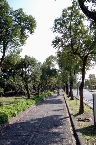 【宜蘭旅遊推薦】單車樂活遊 羅東運動公園/羅東林業文化園區 【宜蘭民宿】Sunday Home