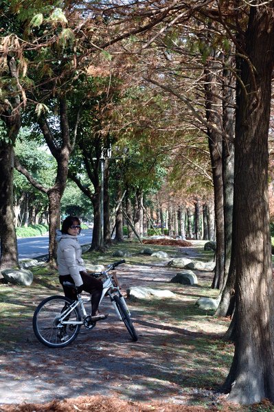 【宜蘭旅遊推薦】單車樂活遊 羅東運動公園/羅東林業文化園區 【宜蘭民宿】Sunday Home