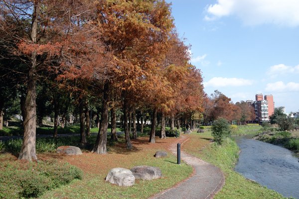 【宜蘭旅遊推薦】單車樂活遊 羅東運動公園/羅東林業文化園區 【宜蘭民宿】Sunday Home