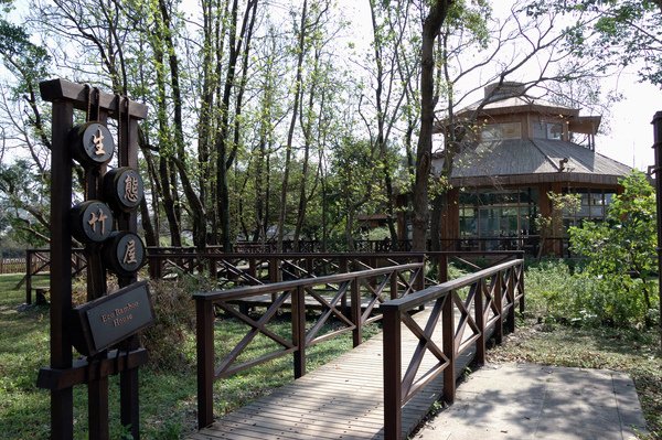 【宜蘭旅遊推薦】單車樂活遊 羅東運動公園/羅東林業文化園區 【宜蘭民宿】Sunday Home