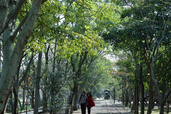 【宜蘭旅遊推薦】單車樂活遊 羅東運動公園/羅東林業文化園區 【宜蘭民宿】Sunday Home