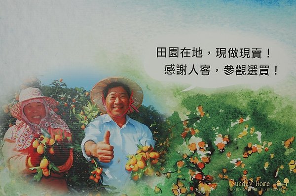 【宜蘭旅遊景點推薦】橘之鄉形象蜜餞館 【宜蘭民宿】Sunday Home