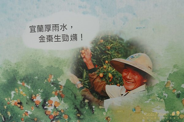 【宜蘭旅遊景點推薦】橘之鄉形象蜜餞館 【宜蘭民宿】Sunday Home
