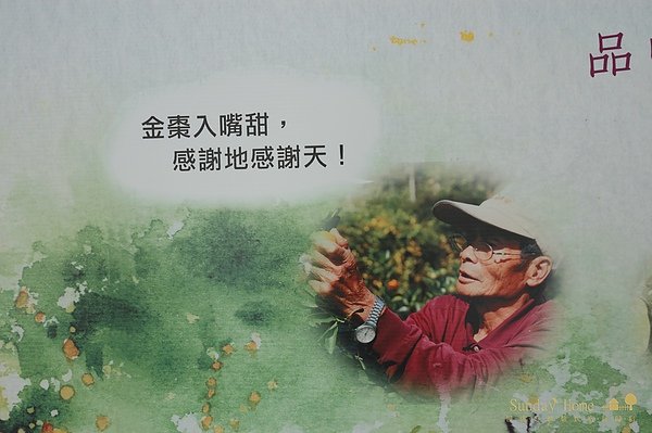 【宜蘭旅遊景點推薦】橘之鄉形象蜜餞館 【宜蘭民宿】Sunday Home