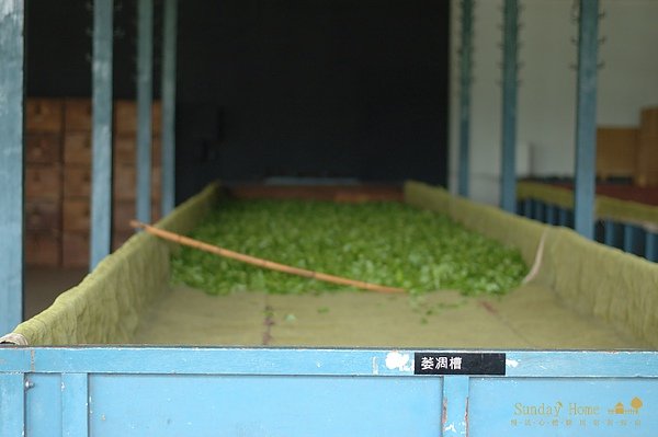 20111123  日月老茶廠 【宜蘭民宿】Sunday Home