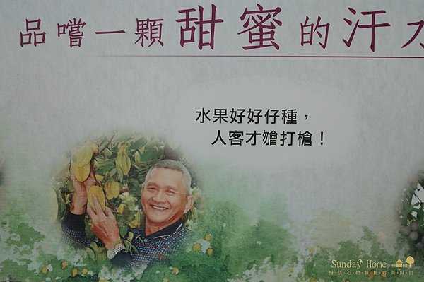 【宜蘭旅遊景點推薦】橘之鄉形象蜜餞館 【宜蘭民宿】Sunday Home