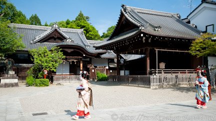八坂神社見藝妓