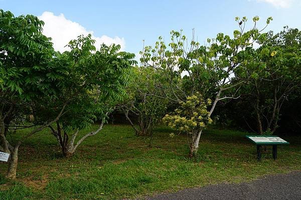 DSC03827_調整大小