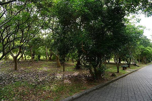DSC03822_調整大小
