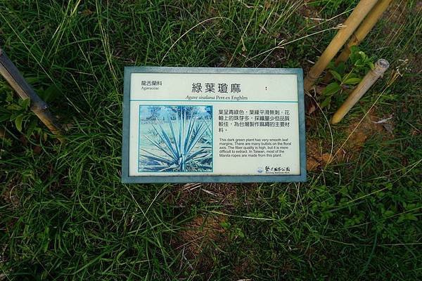 DSC03842_調整大小