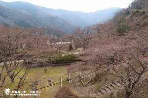 大野ダム (1017)