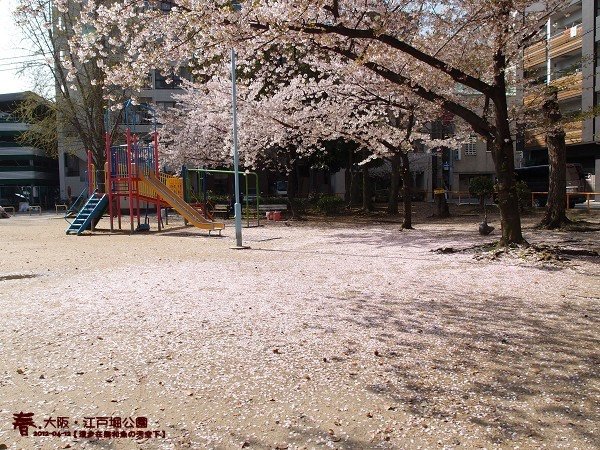 江戶堀公園(1004)