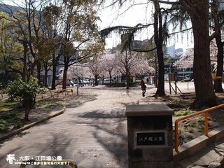 江戶堀公園(1003)