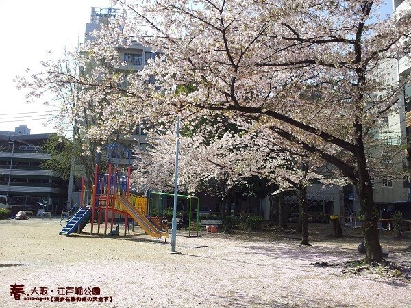 江戶堀公園(1001)