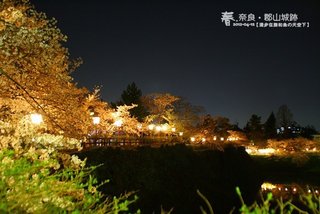 郡山城跡(1018)