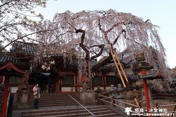 冰室神社(1001)