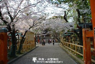 冰室神社(1007)