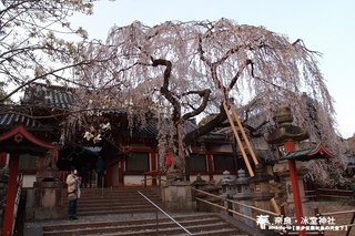 冰室神社(1008)