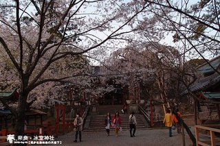 冰室神社(1012)