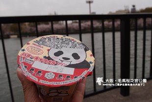 毛馬櫻之宮公園(1012)