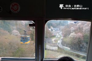 吉野山 (1024)