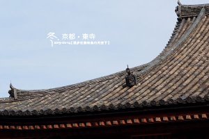 (1020)