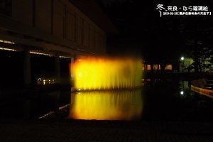 (1006)