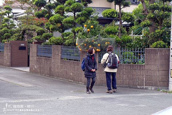 柳川(1089).jpg