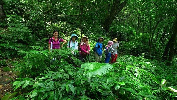P1240670 (複製).JPG