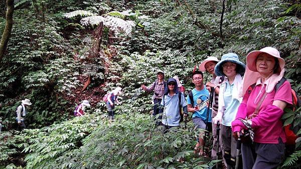 IMG_20140627_115233.jpg