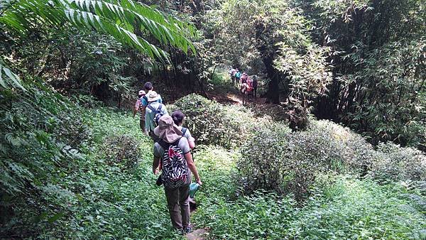 IMG_20140627_121319.jpg