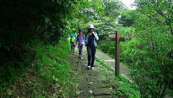 P1250237 (複製).JPG